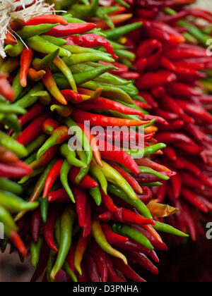 Rista fresco sul display presso il locale mercato degli agricoltori. La leggenda narra, nel sud-ovest, che appeso chili ristras porta fortuna se appeso all'ingresso della casa. Foto Stock
