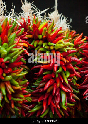Rista fresco sul display presso il locale mercato degli agricoltori. La leggenda narra, nel sud-ovest, che appeso chili ristras porta fortuna se appeso all'ingresso della casa. Foto Stock