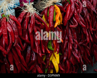 Rista fresco sul display presso il locale mercato degli agricoltori. La leggenda narra, nel sud-ovest, che appeso chili ristras porta fortuna se appeso all'ingresso della casa. Foto Stock