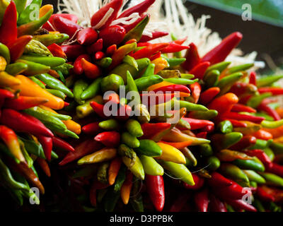 Rista fresco sul display presso il locale mercato degli agricoltori. La leggenda narra, nel sud-ovest, che appeso chili ristras porta fortuna se appeso all'ingresso della casa. Foto Stock