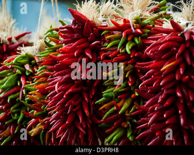 Rista fresco sul display presso il locale mercato degli agricoltori. La leggenda narra, nel sud-ovest, che appeso chili ristras porta fortuna se appeso all'ingresso della casa. Foto Stock