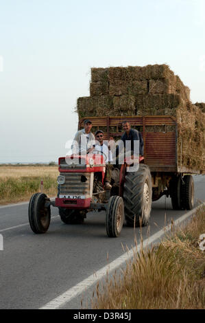 Famagusta, Repubblica Turca di Cipro del Nord, gli agricoltori portare nel fieno Foto Stock