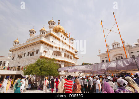 Persone a Akal Takht nel Tempio d'oro, Amritsar Punjab, India Foto Stock