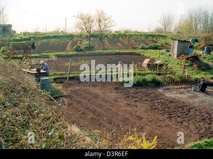 Tre giardinieri che lavorano sulle loro quote in primavera Foto Stock