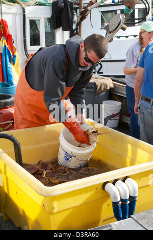 I pescatori di granchio vendendo granchi freschi dalle loro barche sul dock a Pilastro punto Half Moon Bay California USA Foto Stock