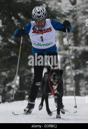 Todtmoos, Germania. Il 23 febbraio 2013. Peter Habel dalla Germania gli sci da fondo con il suo cane attraverso il legno in corrispondenza della international dog sled racing a Todtmoos, in Germania, il 23 febbraio 2013. Circa 120 squadre provenienti da sei paesi prendono parte alle due giornate di gara. Foto: PATRICK SEEGER/dpa/Alamy Live News Foto Stock