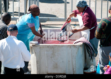 Donne snoek lavaggio a Kalk Bay, Sud Africa Foto Stock