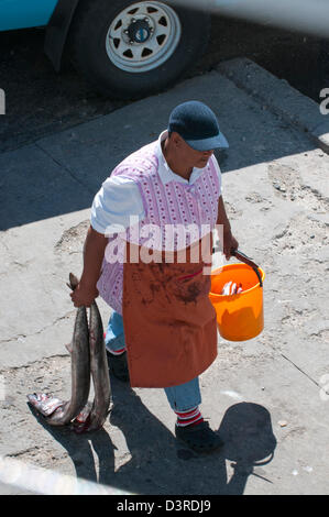 Signora che trasportano snoek per filettatura a Kalk Bay, Sud Africa Foto Stock