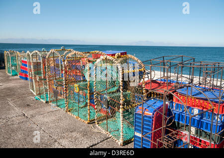 Aragosta colorati vasi fodera Kalk Bay Foto Stock