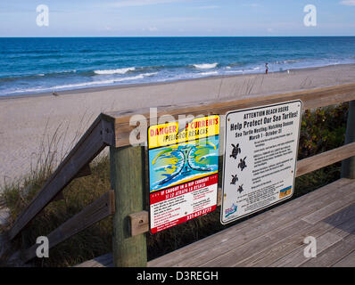 Tartaruga di mare e Rip Current Warnings su una spiaggia della Florida Foto Stock