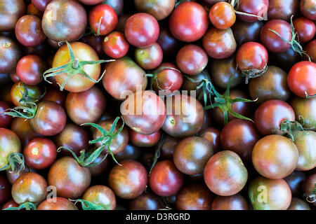 Nero pomodori ciliegia su un mercato agricolo. Foto Stock