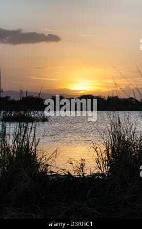 Il Serengeti sun imposta su un lago nella bussola della Tanzania. Foto Stock