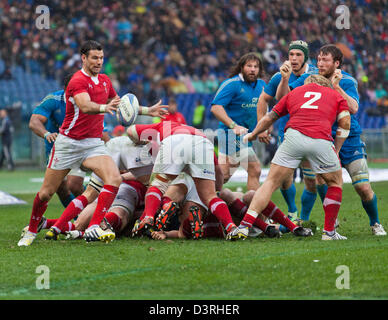 Roma, Italia. Il 23 febbraio, 2013. Sei Nazioni di rugby. Italia vs Galles Roma, Italia. Welsh Scrum metà Mike Phillips cancella da un ruck Foto Stock