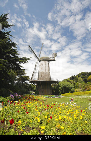 Il mulino a vento del nord in Golden Gate Park di San Francisco, California, Stati Uniti d'America Foto Stock