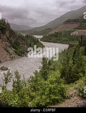 Giugno 26, 2012 - Denali Borough, Alaska, USA - La serpentina Nenana River a sud di Healy, nel fiume Nenana Canyon, costituisce il confine orientale del Parco Nazionale di Denali. (Credito Immagine: © Arnold Drapkin/ZUMAPRESS.com) Foto Stock