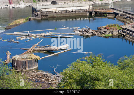 Oregon City, Oregon, il Williamette Falls si trova nei pressi di Oregon City sono la seconda più grande cade negli Stati Uniti Foto Stock