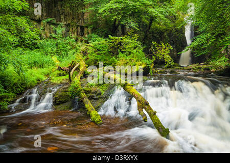 Forza Catrigg vicino Stainforth nel North Yorkshire. Foto Stock