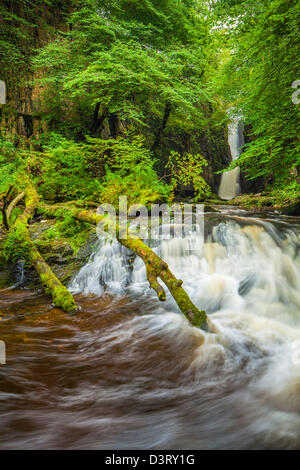 Forza Catrigg vicino Stainforth nel North Yorkshire. Foto Stock