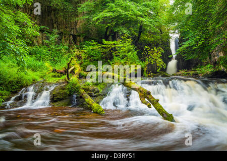 Forza Catrigg vicino Stainforth nel North Yorkshire. Foto Stock