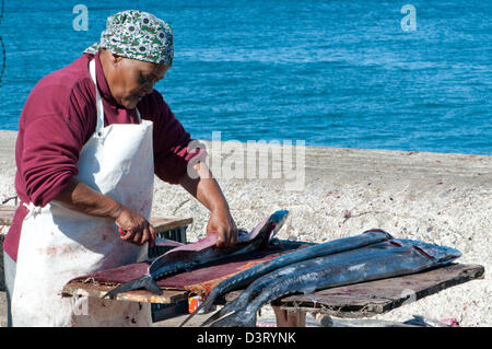 Donna sfilettatura snoek al mercato del pesce, Kalk Bay, Sud Africa Foto Stock