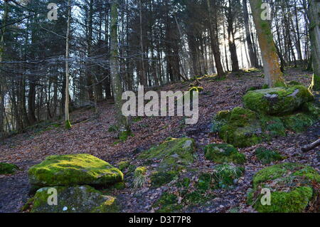 L 'hotel Astrid di legno in Bolton Abbey sul modo Dales a lunga distanza sentiero Wharfedale Yorkshire Foto Stock