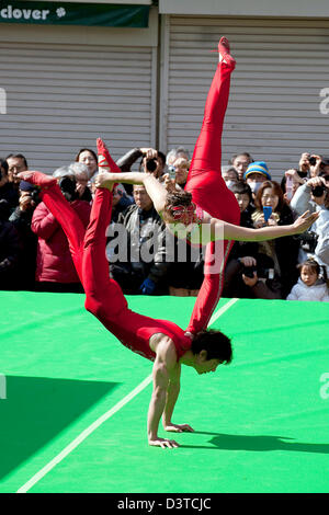 Kanagawa, Giappone. Il 23 febbraio, 2013. Acrobati mostrano le prestazioni per il Festival della Primavera Cinese a China Town a Yokohama. Festival Cinese della Primavera, anche chiamato 'Il nuovo anno lunare", è il più importante festival per il popolo cinese che ha più di 4000 anni di storia. Il Festival di Primavera porta Leone danza, performance di danza, canzoni, acrobazie e altri cinese tradizionale attrazioni a Yokohama China Town. L'evento è da febbraio 10 a 24. (Foto di Rodrigo Reyes Marin/AFLO/Alamy Live News) Foto Stock