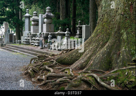 Tomba di pietra a forma di marcatori come mini santuari e gigantesco albero di cedro radici al tempio Okunoin cimitero sulla Koyasan (Mount Koya) Giappone Foto Stock