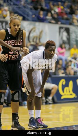 Febbraio 23, 2013 - Berkeley, CA, Stati Uniti d'America - 24 febbraio 2013 durante il NCAA Womens Gioco di basket tra Oregon State University castori vs California Golden Bears,2 G Afure Jemerigbe di Cal a Hass Pavilion Berkeley Calif Foto Stock