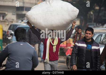 Uomo che porta un grande fascio di Delhi, India Foto Stock