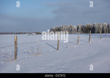 Rurali paesaggio invernale. Filo spinato post nel campo nevoso. Foto Stock