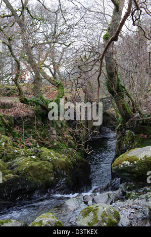 Aira Force , cascata, Cumbria Foto Stock