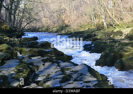 Il fiume Wharfe fluisce nel 'hotel Astrid una stretta gola Gritstone sul modo Dales a lunga distanza sentiero Wharfedale Yorkshire Foto Stock