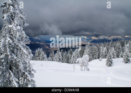 I paesaggi del massiccio della Chartreuse, vista della valle Gresivaudan Foto Stock