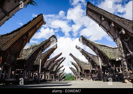 Vista di un tradizionale Tana Toraja villaggio con case tipiche, Sulawesi, Indonesia Foto Stock