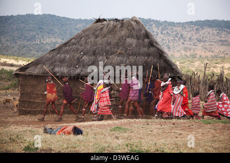 Un maasai party di nozze è attualmente in corso con ragazzi e ragazze che danzano intorno al villaggio. Un ubriaco è collassato in erba. Foto Stock