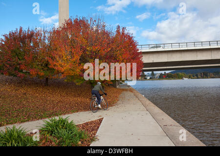 Ciclista a cavallo lungo il Lago Burley Griffin in autunno. Parkes, Canberra, Australian Capital Territory (ACT), Australia Foto Stock