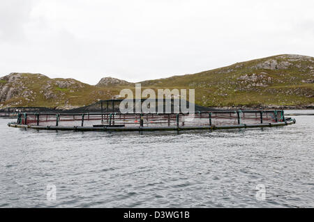 Dedotta la piscicoltura in gabbia Loch Roag, isola di Lewis nelle Ebridi Esterne. Foto Stock