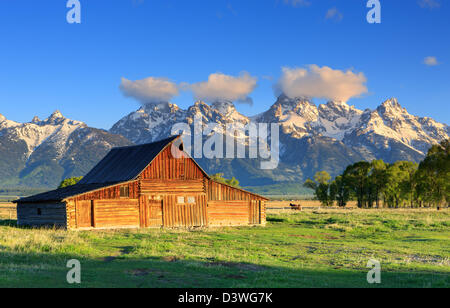 Il Mormon Riga è una linea di homestead complessi lungo la strada Jackson-Moran vicino all'angolo sud-est del Grand Teton NP Foto Stock