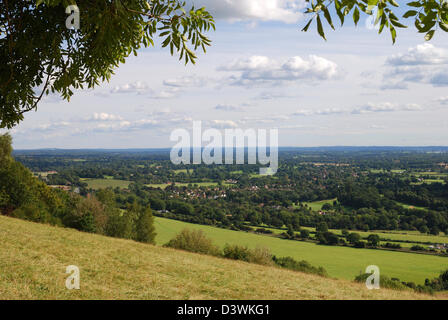 Vista verso sud su campagna da Box Hill sulla North Downs a Dorking. Surrey. Inghilterra Foto Stock