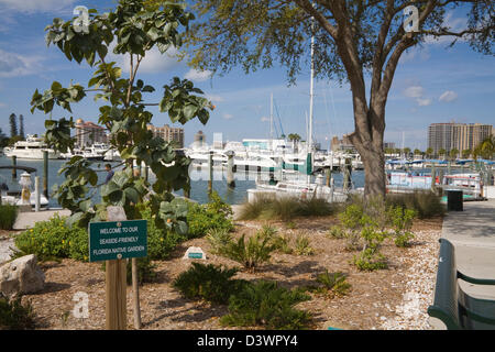 Sarasota Florida USA Febbraio Seaside friendly Florida giardino nativo di fronte a marina sull'isola Park Drive Foto Stock