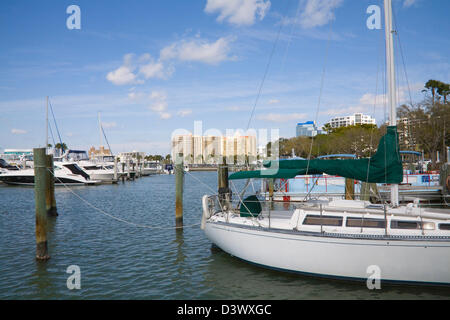 Sarasota Florida USA Febbraio costosi yacht ormeggiati nella baia di Marina anteriore sull isola Park Drive Foto Stock