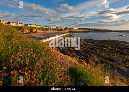 Cullercoats Bay e villaggio, North Tyneside, Tyne and Wear Foto Stock