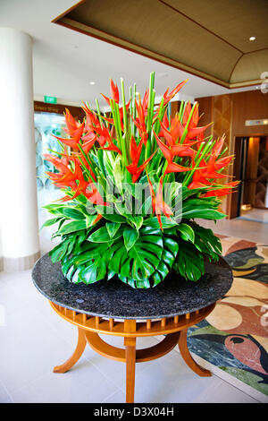 L'hotel Shangri-La Lobby,l'ala del giardino,Hotel 5 stelle,splendide orchidee, alberi Flower Visualizza,fioritura piante pensili Singapore Foto Stock