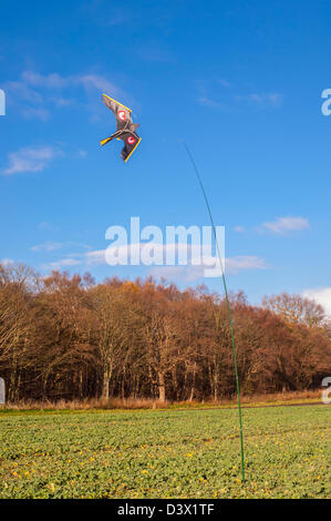 Un aquilone stile / bird scarer piccione nella forma di un uccello da preda in un campo del Regno Unito Foto Stock