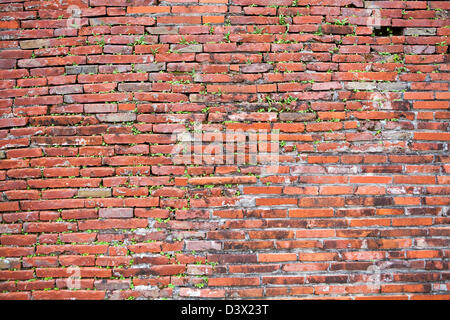 Rosso vecchio muro di mattoni Foto Stock