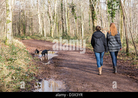 Due giovani donne a piedi con i cani su una via del bosco, Cardiff Wales, Regno Unito Foto Stock