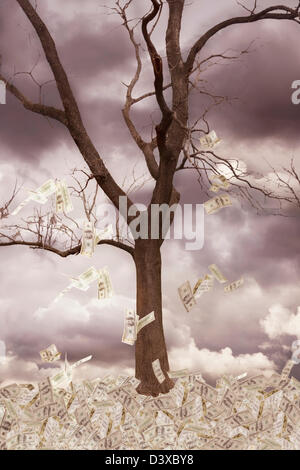 Illustrazione delle fatture del dollaro in caduta da albero in tempesta Foto Stock
