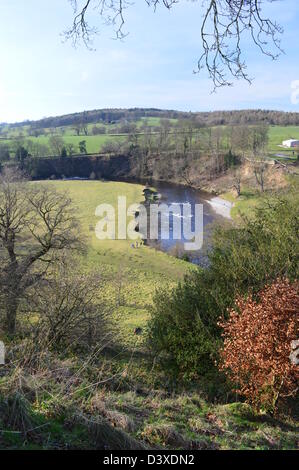 Guardando verso il basso fino a raggiungere le rive del fiume Wharfe dal Dales Modo lunga distanza sentiero vicino a Bolton Abbey Wharfedale Yorkshire Foto Stock