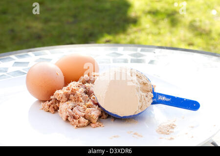 Tonno, uova e la proteina del siero di latte in polvere su una piastra bianca Foto Stock