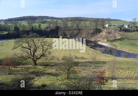 Guardando verso il basso fino a raggiungere le rive del fiume Wharfe dal Dales Modo lunga distanza sentiero vicino a Bolton Abbey Wharfedale Yorkshire Foto Stock